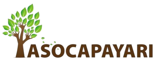 ASOCAPAYARI